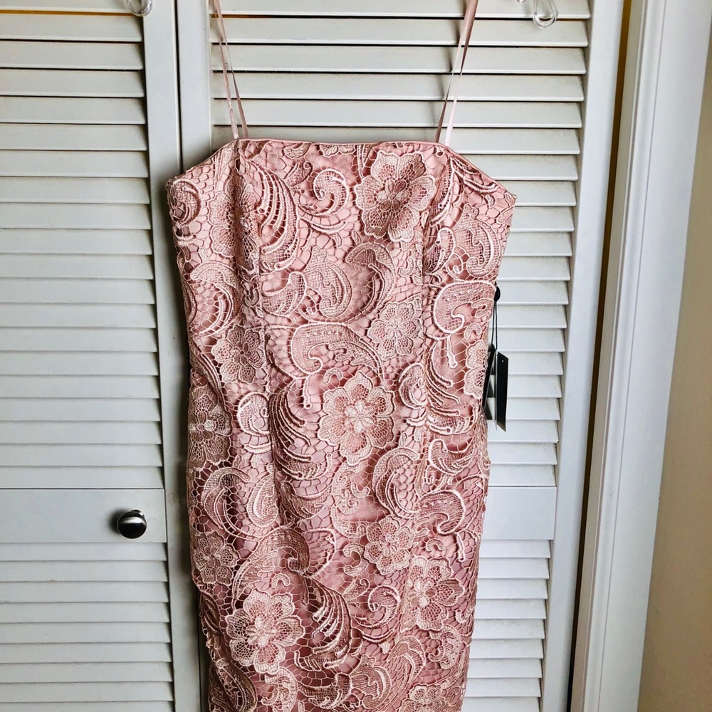NWT ADRIANNA PAPEL PINK LACE STRAPLESS DRESS - Picture 2 of 5